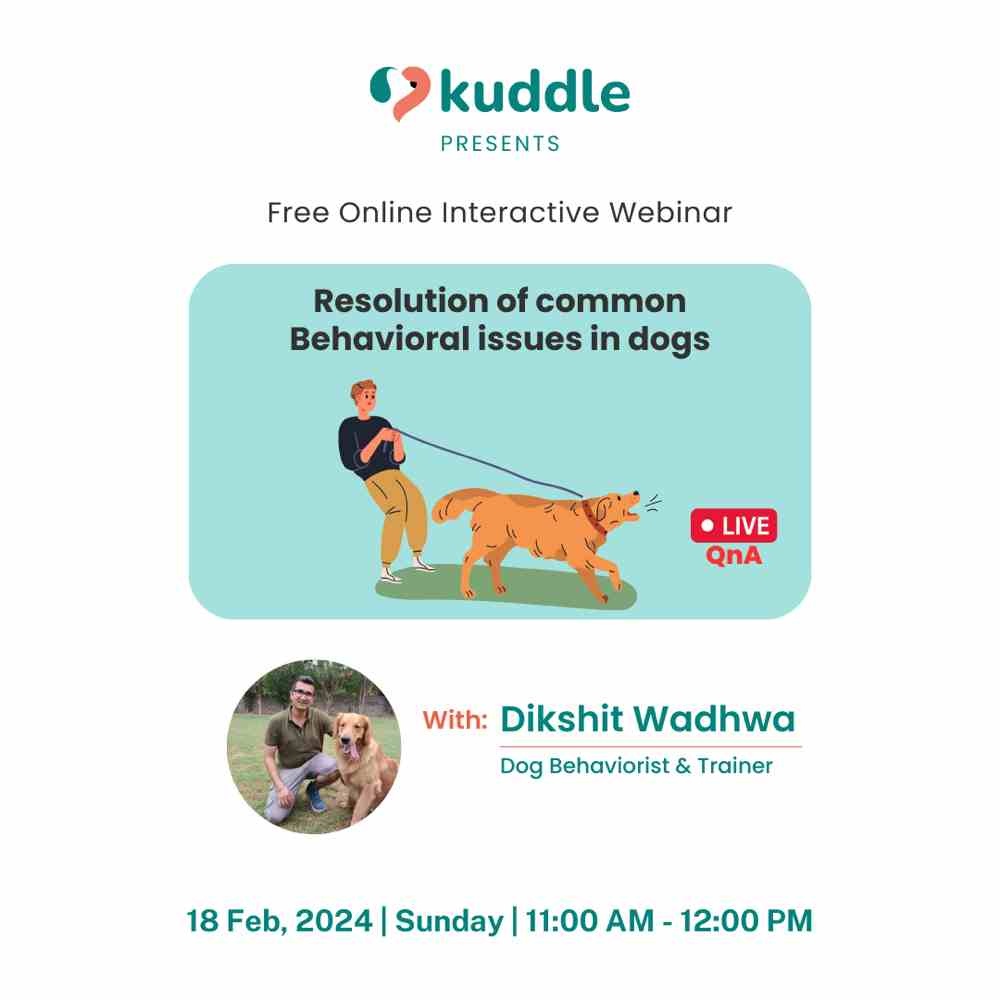 Let’s discuss common behavioral problems in dogs like excessive barking, hyperactivity, anxiety, destructive habits, and much more with Dog Trainer & Behaviourist Dikshit Wadhwa! 

Join us for a Free Online Interactive Masterclass this Sunday!

Date: 18 February, 2024
Time: 11 AM - 12 PM
Fee: Free
Format: Online

Registration now 👇
https://forms.gle/C71KWEeHWVAxGipXA