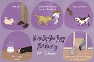 how to stop puppy from barking