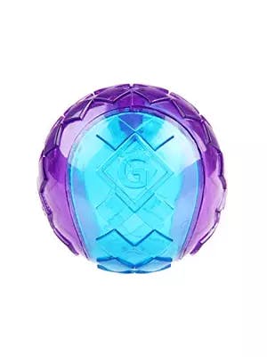 GiGwi Squeaker Transparent Blue/Purple Ball Dog Toy