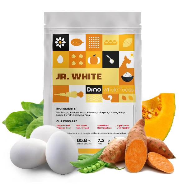 Dino Whole Foods Egg Recipe Jr. White (3 pack of 200g)