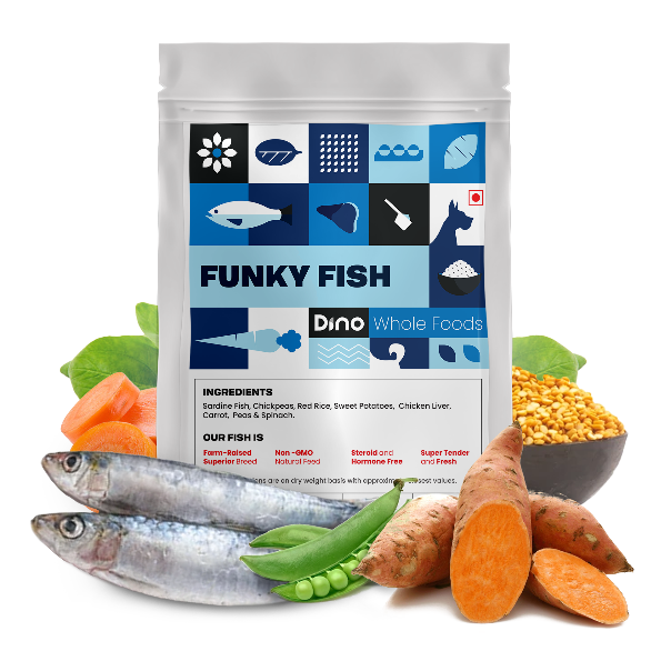 Dino Whole Foods Fish Recipe Funky Fish (3 pack of 200g)