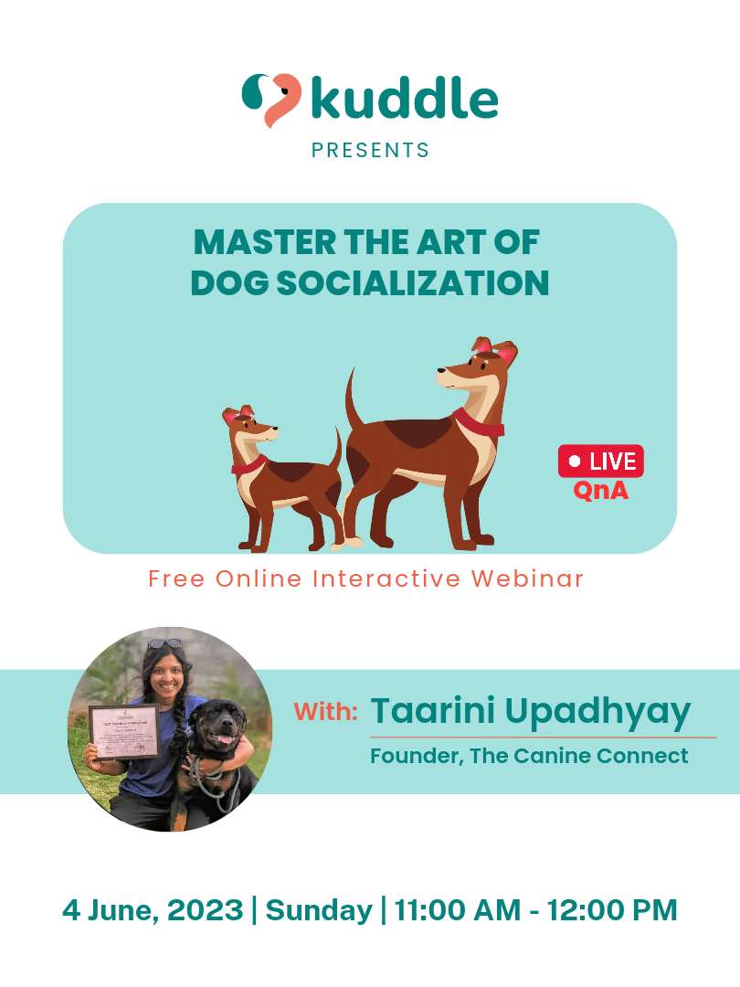 Worried about your doggo's behaviour around other dogs or people? 🤔

Socialization, if not done correctly, can backfire and your dog might lose their trust in you and turn even more aggressive or fearful 😐

Master the art of socialization with Kuddle's Free Masterclass this Sunday with Expert Dog Trainer and Behaviorist Taarini Upadhyay 🐶

🟢 Date: 4 June, 2023
🟢 Time: 11 AM- 12 PM

Register now 👇
https://forms.gle/ye98gVjk3QKttr8e6
