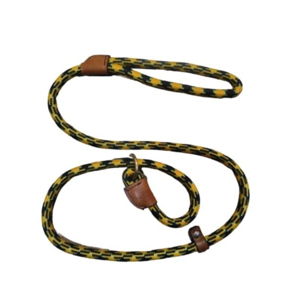 GBL Leather Slip Leash for Training (Assorted Colour)