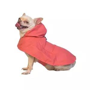Buy Pet Set Go Cape Style Raincoat for Dogs from kuddle