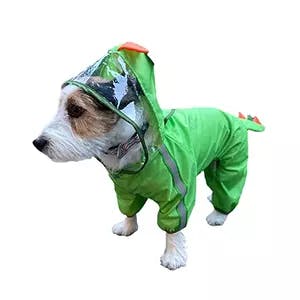 Buy Fofos Pet Raincoat - Dinosaur Pattern from kuddle