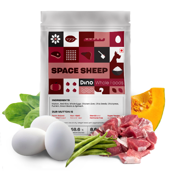 Dino Whole Foods Mutton Recipe Space Sheep (3 pack of 200g)