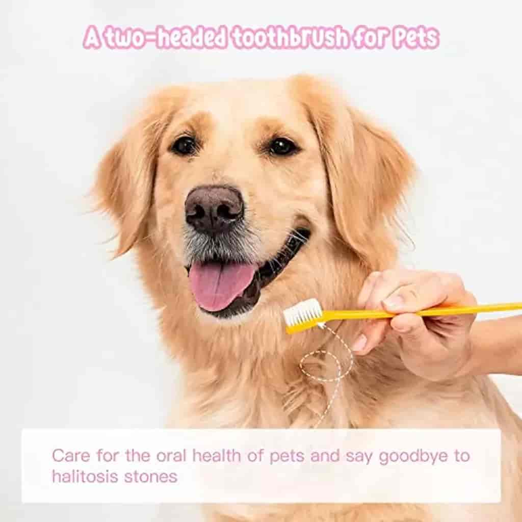 Pets at home sales toothbrush