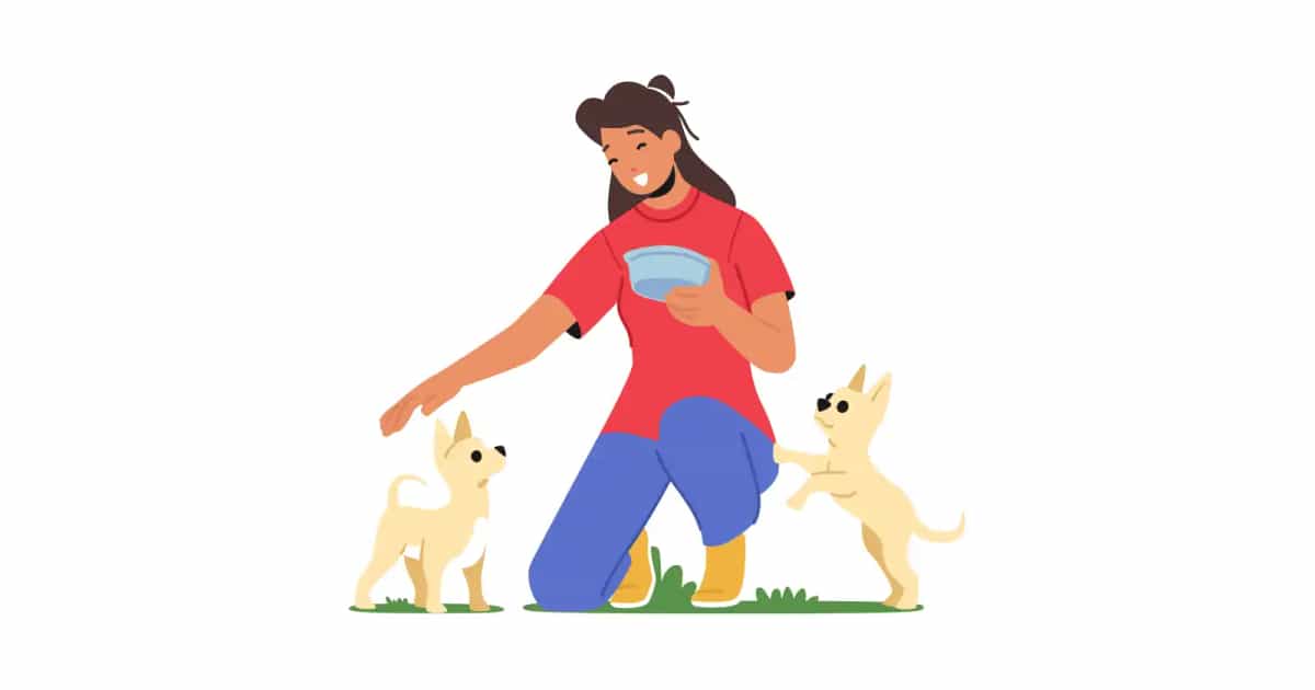 Can my dog be vegetarian online