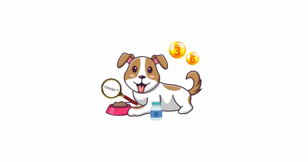 Omega 3 and omega shop 6 fatty acids for dogs