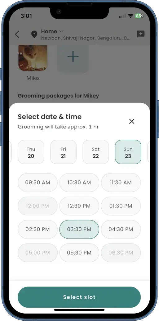 Cat grooming time slot selection screen