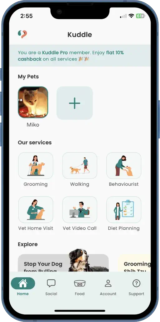 Kuddle cat grooming and other services home screen