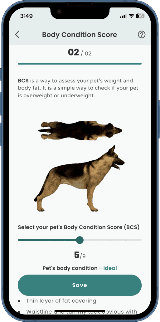 Add body condition score in Kuddle Nutrition Planner