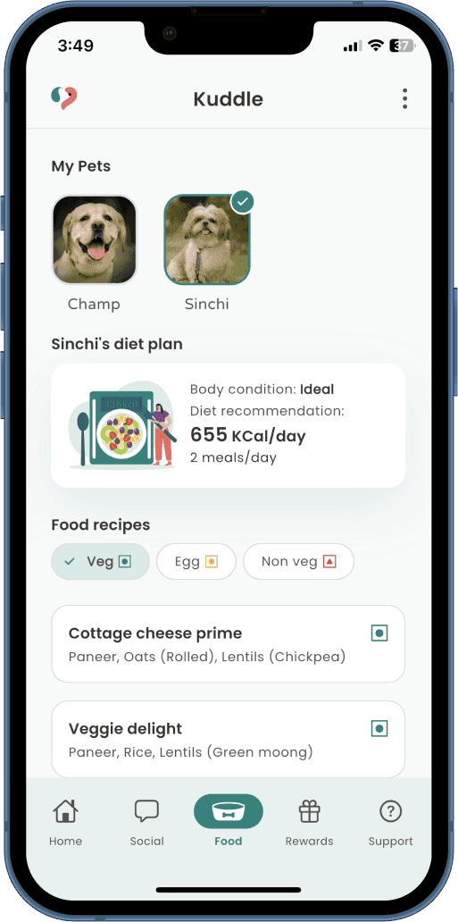 Get diet plan and food recipes in Kuddle Nutrition Planner