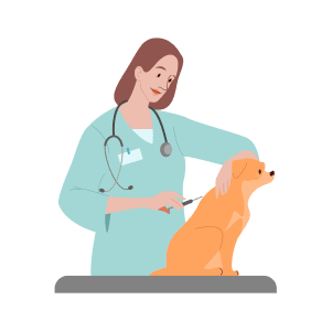 Pet doctor hot sale home visit