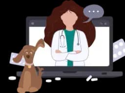 Vet Video Service across India