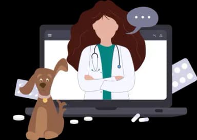 Vet Video Service across India