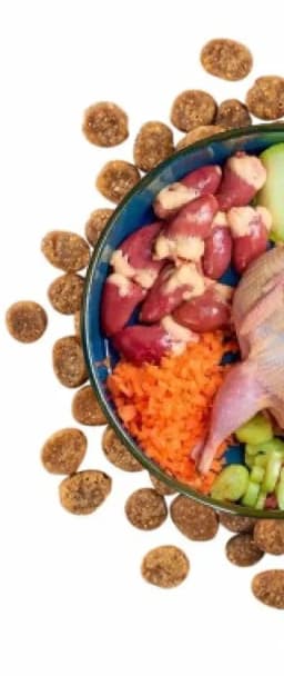 Diet for German Shepherd