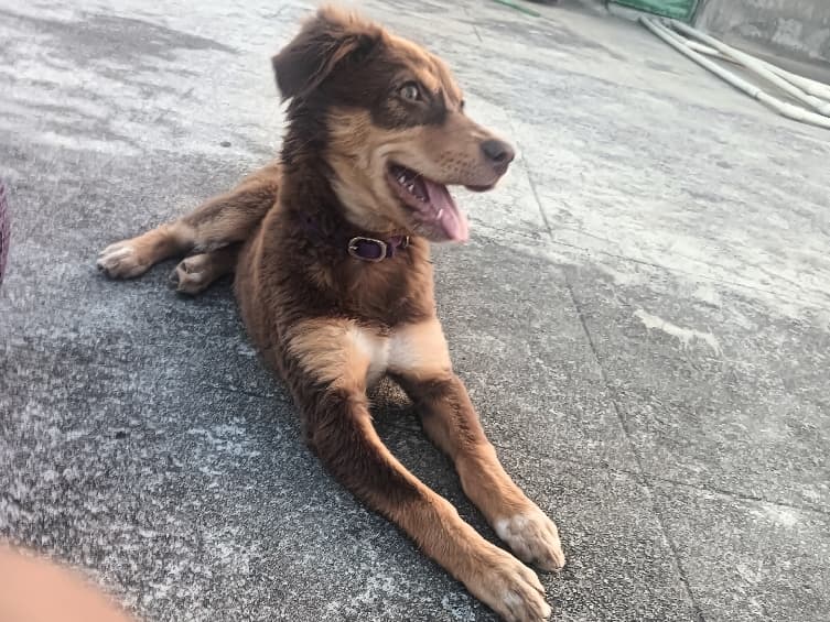 Luna