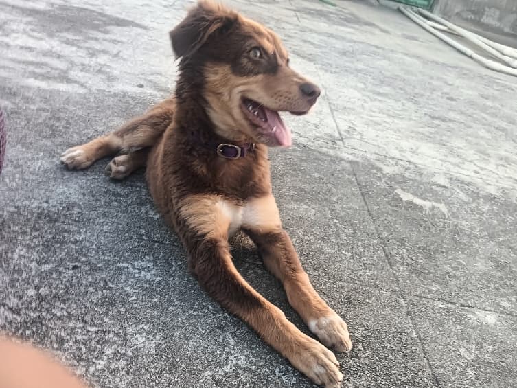Luna