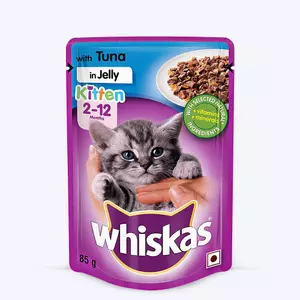 Matisse kitten outlet food