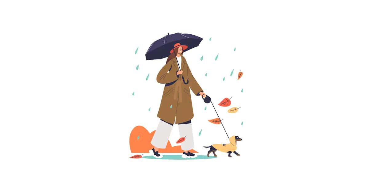 Cover image for 5 Tips for Walking Dogs in the Rain