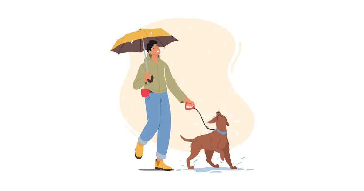 Cover image for Dry and Dapper - Essential Monsoon Grooming Tips for Your Dog