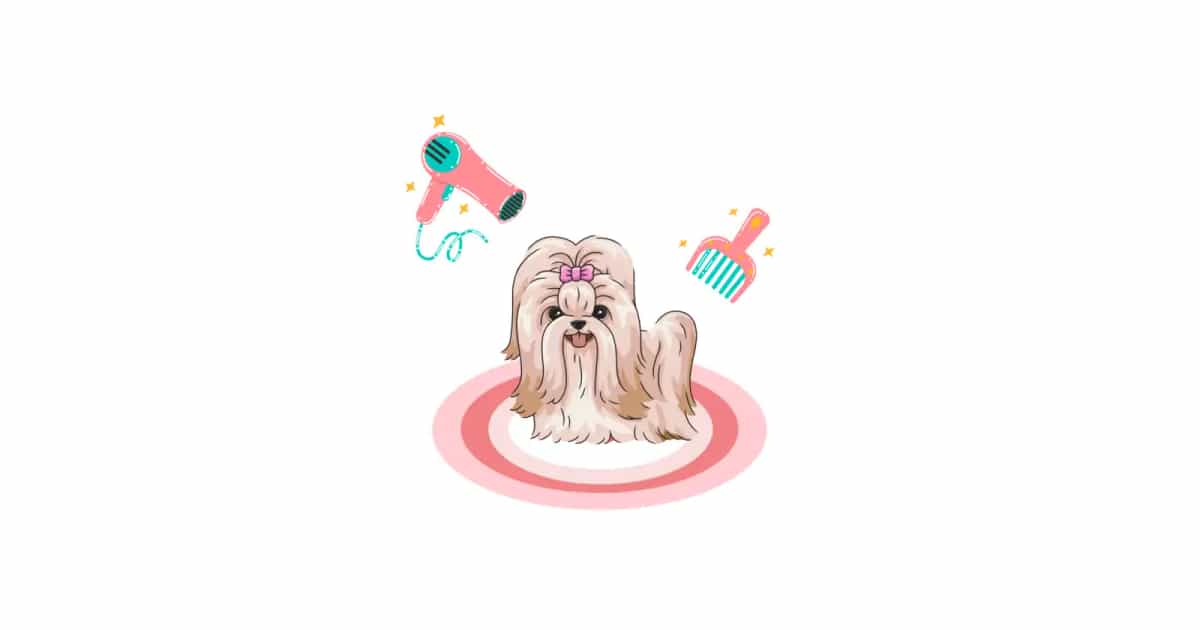 Cover image for Grooming in Shih Tzu