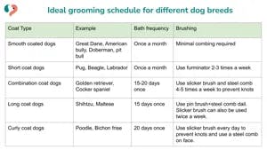 Ideal grooming schedule for different pet breed recommended by Kuddle
