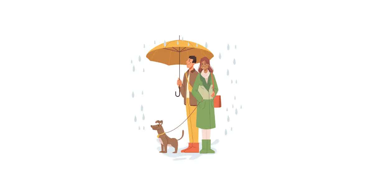 Cover image for How to take care of pets in monsoon?
