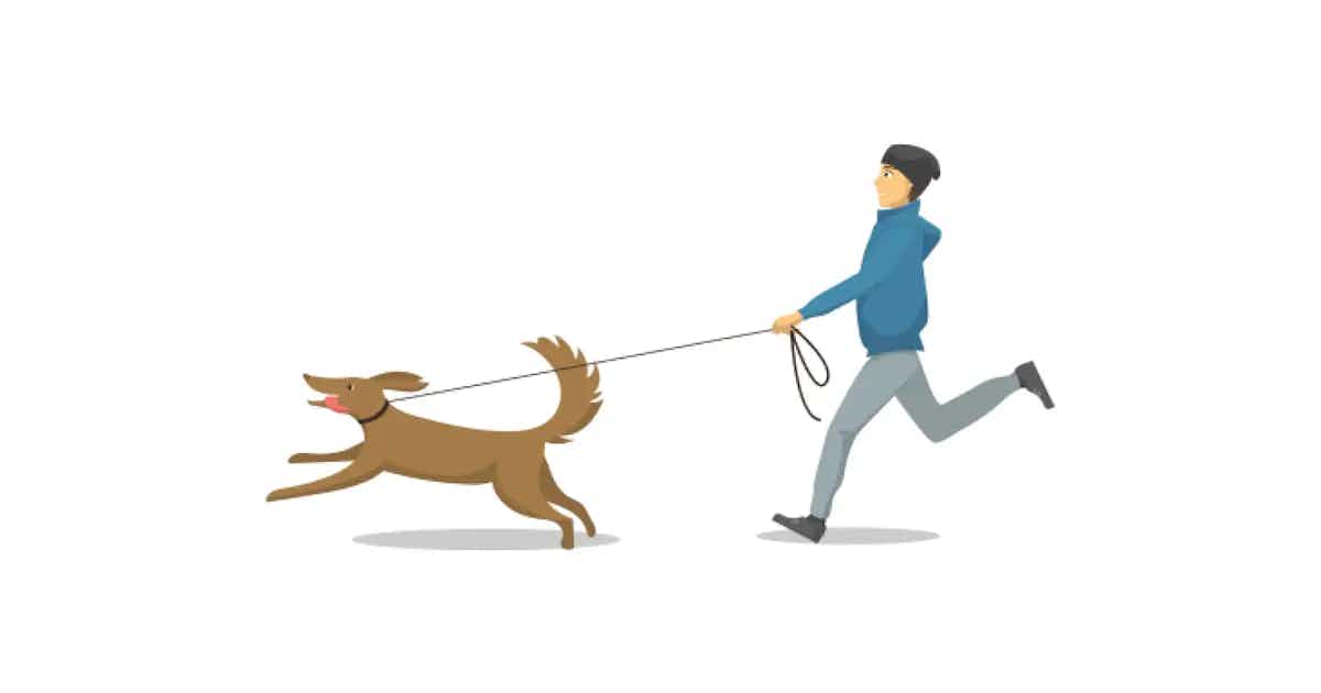 Cover image for Leash Training for Dogs