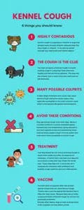 Things you should know about Kennel Cough