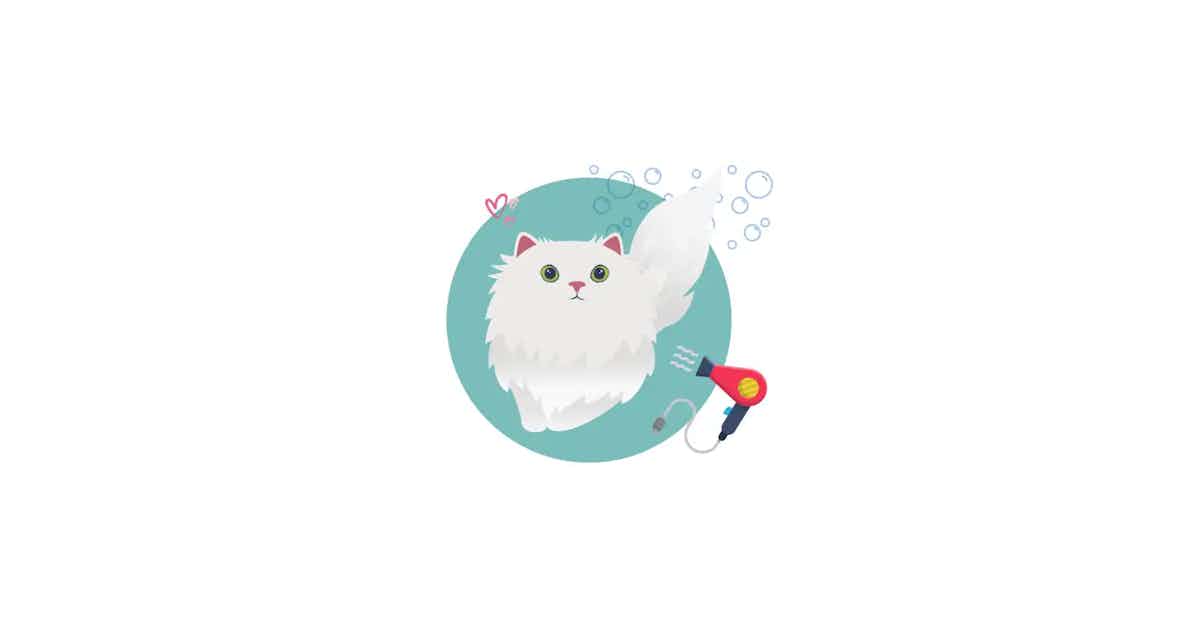 Cover image for Persian Cat Grooming and Bathing guide