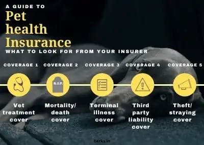 what to look for from your insurer