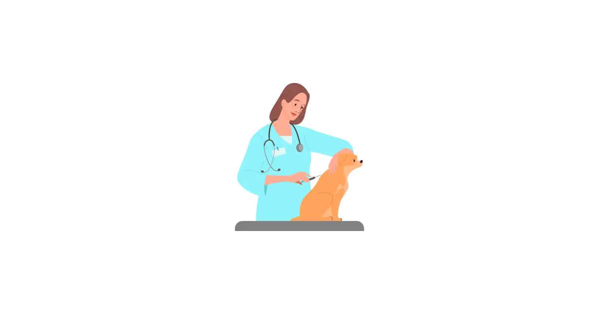 Cover image for Vaccination schedule for cats and dogs