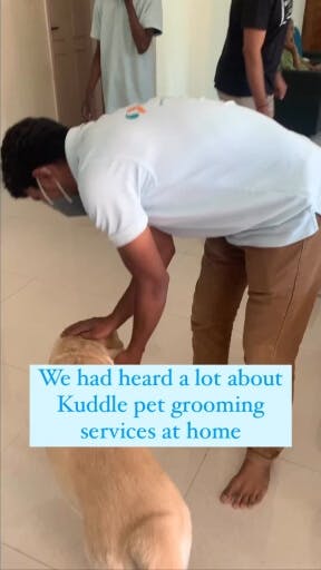 Kuddle's pet grooming reels on Instagram