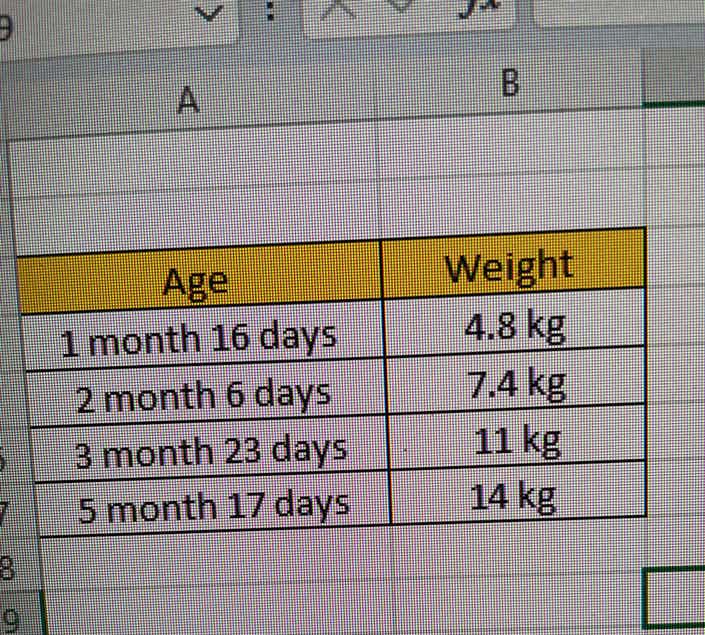 My 5 and half month old english cocker spaniel weighs 14 kg. When I check online it is the max weight a cocker spaniel can grow when he is an adult. 

Is this normal for a puppy for that age to be almost reaching equivalent weight of an adult ? 

I give him pedigree and ocassional boiled chicken and egg meals and boiled veggies. 95% he is on pedigree ( chicken and milk) 

Attached the image of his weight gain in last few months 

He is healthy and doing fine and I take him to walk 3 times( 20 minutes each time) 

Any food changes should I do ?