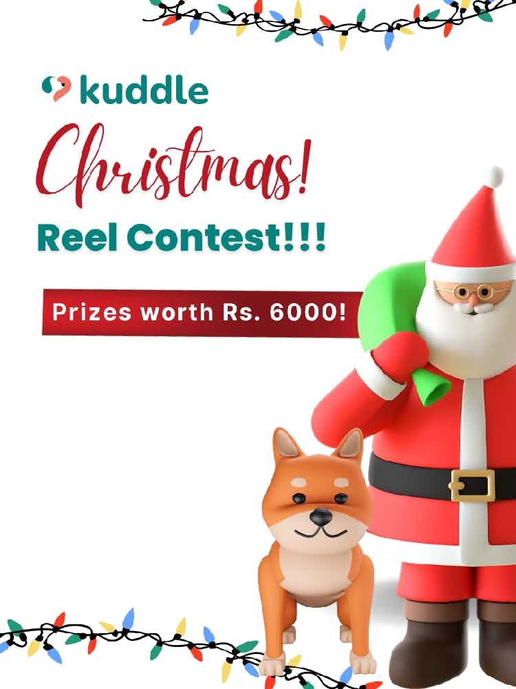 Have you participated in Kuddle's Christmas Contest yet???

Win prizes worth Rs. 6000 💰

1st Prize- 3000 Kuddle coins
2nd Prize- 2000 Kuddle coins 
3rd Prize- 1000 Kuddle coins

To read the rules, check out our Instagram post- https://www.instagram.com/p/CmRMbepLSya/?igshid=YmMyMTA2M2Y=