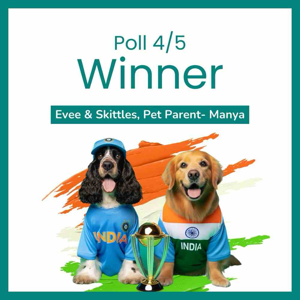 Congratulations 🥳🥳🥳

Evee & Skittles (Pet Parent- Manya) are the lucky winners of Poll 4/5 for correctly predicting Shami’s wickets in today’s match 🏏🇮🇳

Congratulations on winning Flat 50% Off on your next grooming session 🐶

Offer valid till 26th November, 2023 🚨