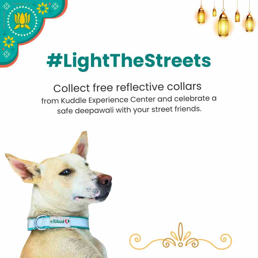 This Deepawali, let's kindle more than just lights; let's ignite hope and safety for our furry friends! 🐾 

Collect FREE reflective collars from the Kuddle Experience Center and help us #LightTheStreets with compassion. 🕯️🐶 

Together, we can make this festival of lights truly special for those who need it the most. 💖