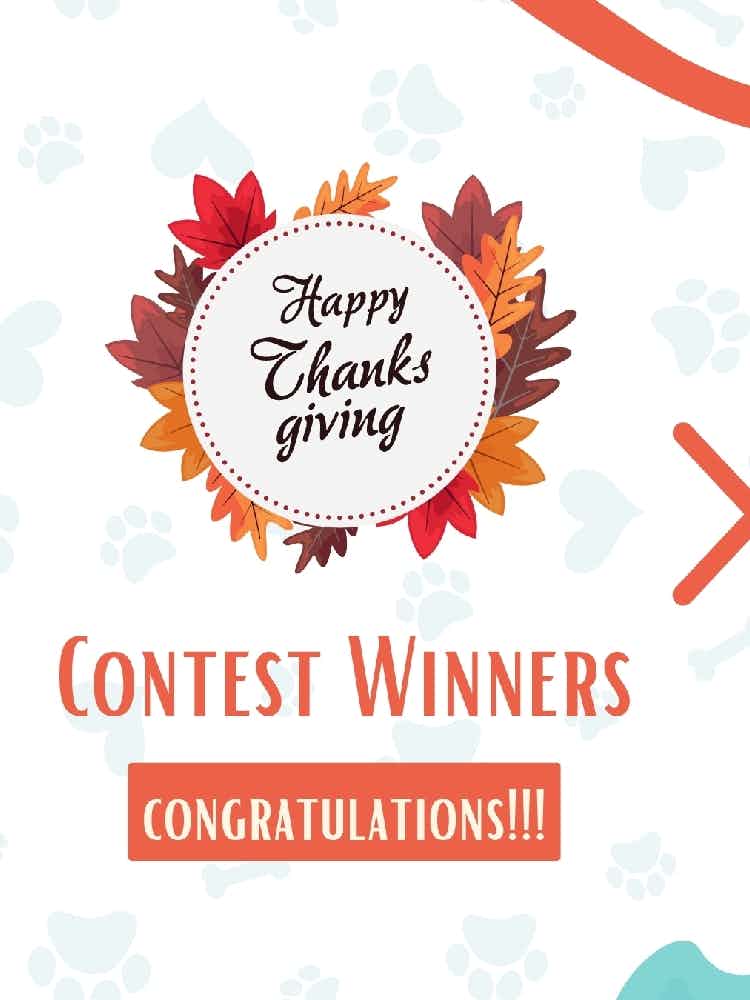 Hello Pet Parents!

Thanks for sharing your sweetest and most wholesome memories with us. It was a delight getting to know your pet stories 🐶😻

🏆 Our Top 3 Winners based on likes are- 
1. Tillu
2. Logan
3. Badhra

In this contest, everyone is a winner. As a token of love, 100 Kuddle coins will be credited to all the contest participants by EOD🎁

See you again🐾