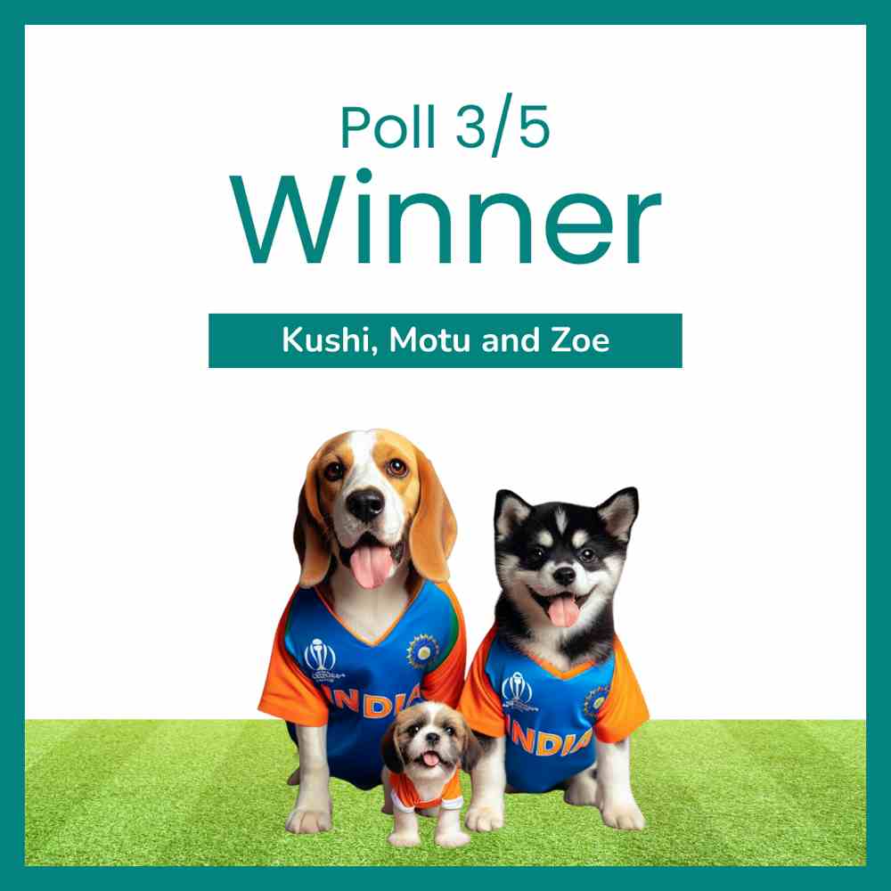 Congratulations 🥳🥳🥳

Kushi, Motu and Zoe (Pet Parent- Mahi) are the lucky winners of Poll 3/5 for correctly predicting Kohli’s score in today’s match 🏏🇮🇳

Congratulations on winning Flat Rs. 500 Off on your next grooming session 🐶

Offer valid till 26th November, 2023 🚨