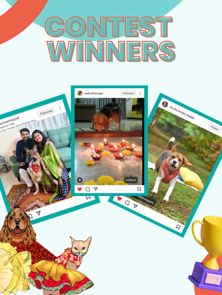🎊Congratulations to our Diwali Contest Winners! Sharing their cute pictures with you all to make your day brighter 🐶🌞

Featuring- 
1. Badhra- The Beagle
2. Shadow Kumar Jha
3. Rio- The Hungry Beagle