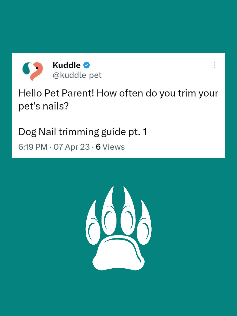 Check out dog nail trimming guide pt. 1 👇

https://twitter.com/kuddle_pet/status/1644321496322686981?t=6PBCP4ZupJq9Ng2DsL9OYQ&s=19