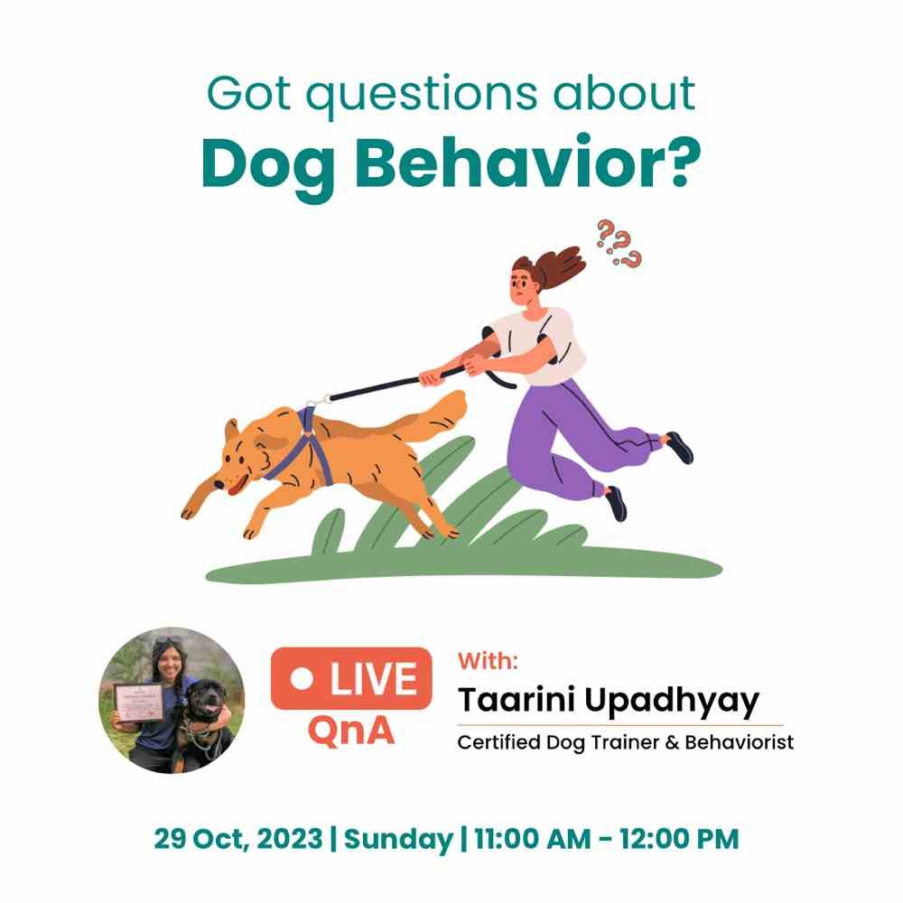 Got questions about dog behaviour? 🤔

Get all your answers this Sunday with Dog Behaviour Expert Taarini Upadhyay! 🐶

Date: 29th October, 2023
Time: 11 AM - 12 PM
Format: Online interactive
Fee: Free

Join us for a Live Interactive QnA session and discuss everything about dogs and their behaviour!

Hurry up! Limited seats available 🚨

https://forms.gle/FycAXLGsJuYzUscg8