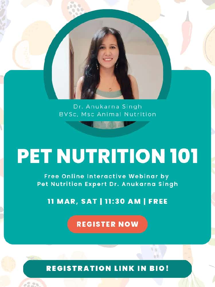 Join us for the pet nutrition webinar with Pet Nutrition Expert, Dr. Anukarna Singh BVSC, MVSc Animal Nutrition 👩‍⚕️

🐱Event Details🐶

👉 Date: 11 March, 2023 (Saturday)
👉 Time: 11:30 AM-12:30 PM
👉 Fees: Free
👉 Format: Online, Interactive

Sign up by filling out the form below 👇

https://forms.gle/asxz36onRYhXWp447