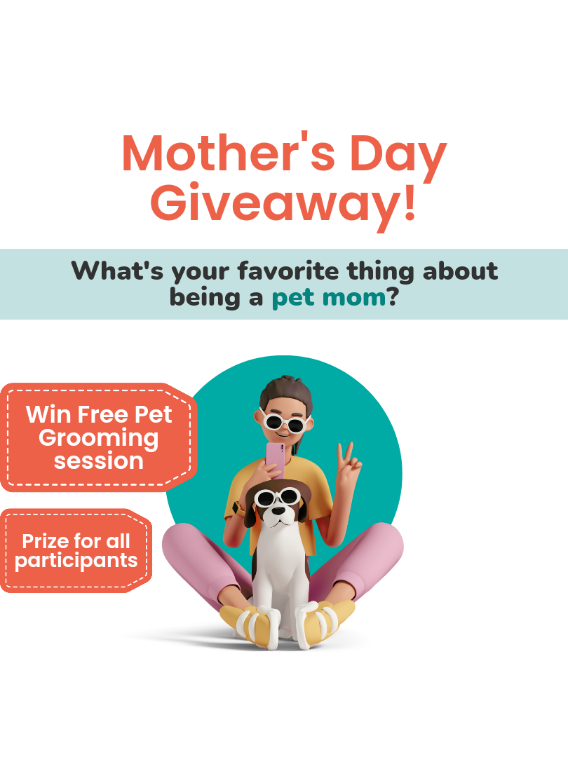 Want to Win a FREE PET GROOMING SESSION? 🎁

Participate in our Mother's Day Giveaway 👇

https://www.instagram.com/p/CsGfthfLILS/?igshid=ZWIzMWE5ZmU3Zg==