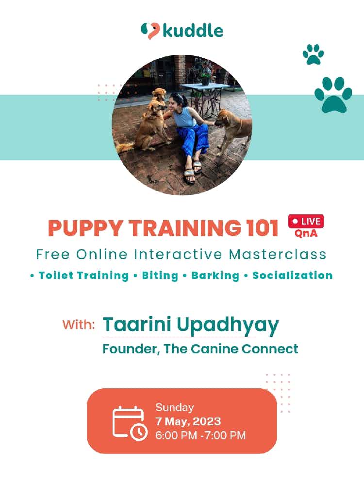 Learn all you need to know about Puppy Training with Taarini 🐶

Kuddle brings to you a free 1-hour online masterclass with Dog behaviour expert Taarini Upadhyay, Founder at The Canine Connect!

👉🏼 Day: 7th May, 2023
👉🏼 Time: 6 PM - 7 PM
👉🏼 Format: Online interactive

🔴 Taking limited registerations! 🔴

Sign up for the masterclass now 🐶👇

https://forms.gle/bznRMU1WjiQ5KrnY7