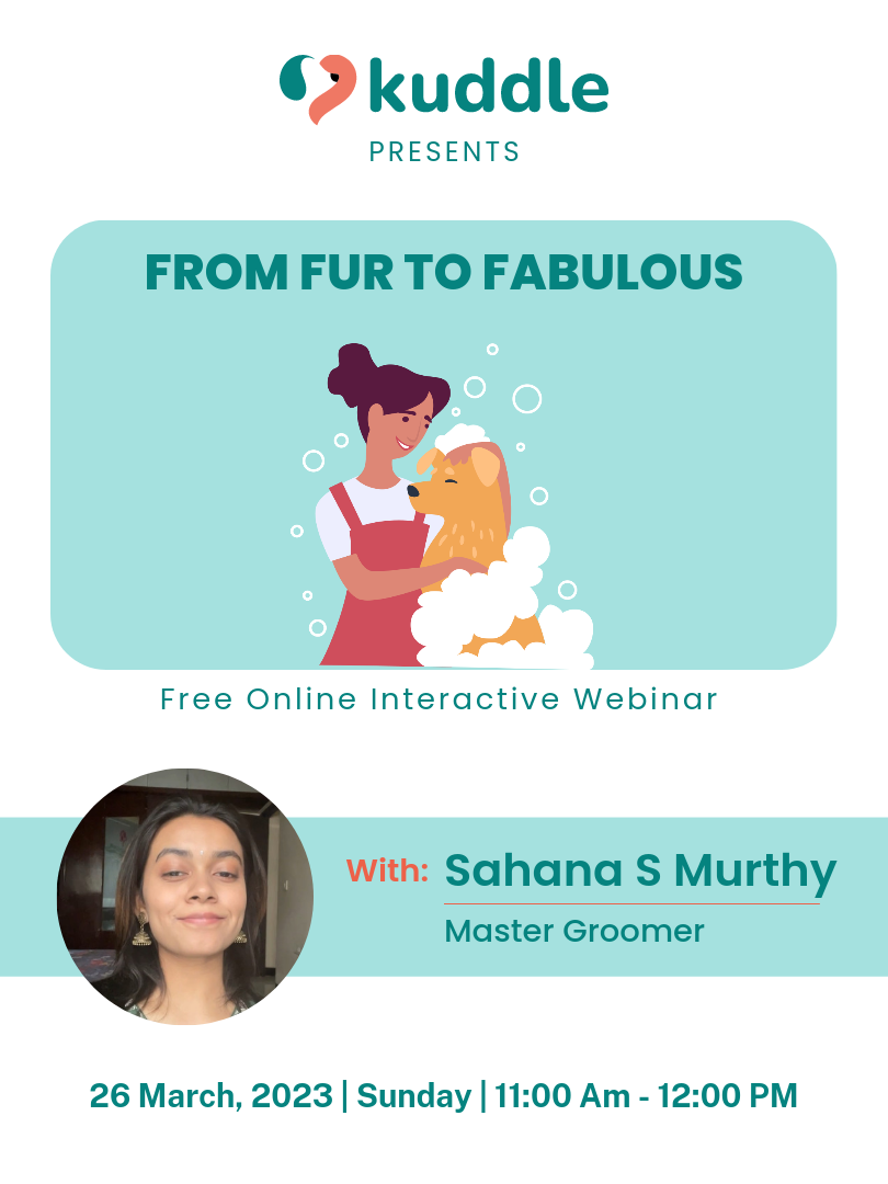 Kuddle brings to you a free 1-hour online masterclass with Master Groomer, Sahana S Murthy. 

Sahana has successfully completed 3500+ grooming sessions and is grooming coach of 12+ groomers 💁🏻

Learn the tips to maintain good coat and skin health 🐩😻

👉🏼 Day: 26th March, 2023
👉🏼 Time: 11:00 AM - 12:00 PM
👉🏼 Format: Online, interactive masterclass 

Sign up for the masterclass now 🐶

https://forms.gle/1ZdYiF79GmKk7HEz8