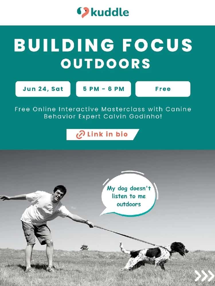 "My dog doesn't listen to me outdoors" 😕

If you can relate to this, then this masterclass is for you! 

We have invited Expert Dog Behaviorist Calvin Godinho for an exclusive Masterclass with Kuddle 🐶

Date: 24th June, Saturday 
Time: 5 PM - 6 PM
Format: Online
Fee: Free

Register for the free Masterclass on Building Focus Outdoors now 👇

https://forms.gle/VwuAxf41tZv4TYCBA
