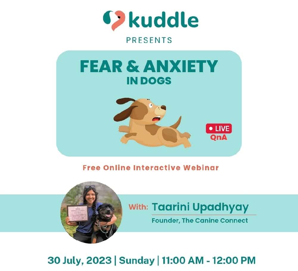 Is your dog fearful? Don't let fear and anxiety hold them back! 🐶

Learn how to manage your pet's stress and anxiety in our Fear & Anxiety Masterclass with Dog Behaviour expert Taarini Upadhyay.

Date: 30th July, 2023
Time: 4 PM - 7 PM
Format: Online
Fee: Free

Limited slots available, sign up now! 🐕👇

https://forms.gle/MZau717VVesUV5UFA